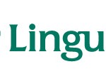 dental treatment Abroad aerlingus_logo